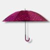 PARAGUA ESTAMPADO - Thumbnail Image 5
