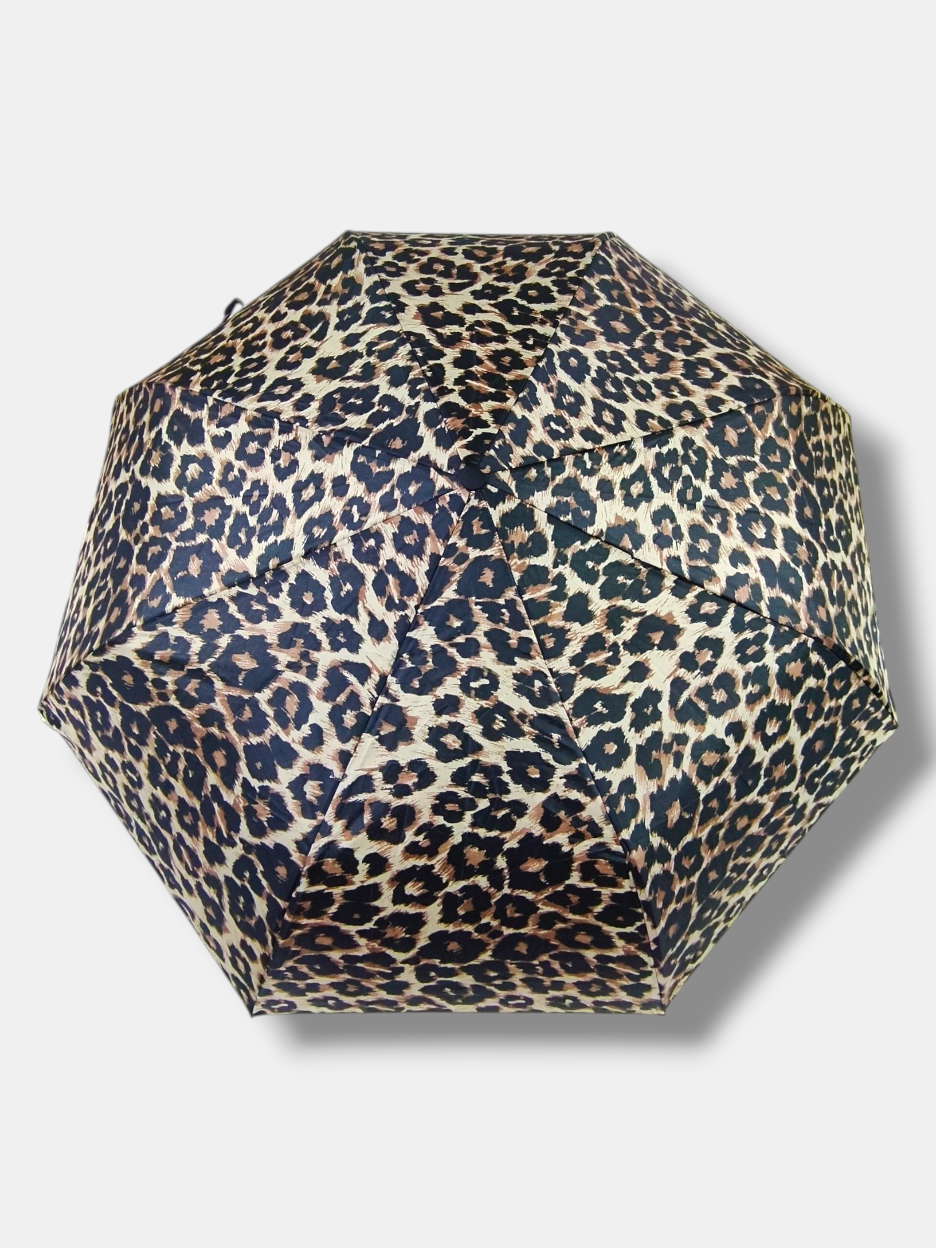 PARAGUA ESTAMPADO - Imagen 4