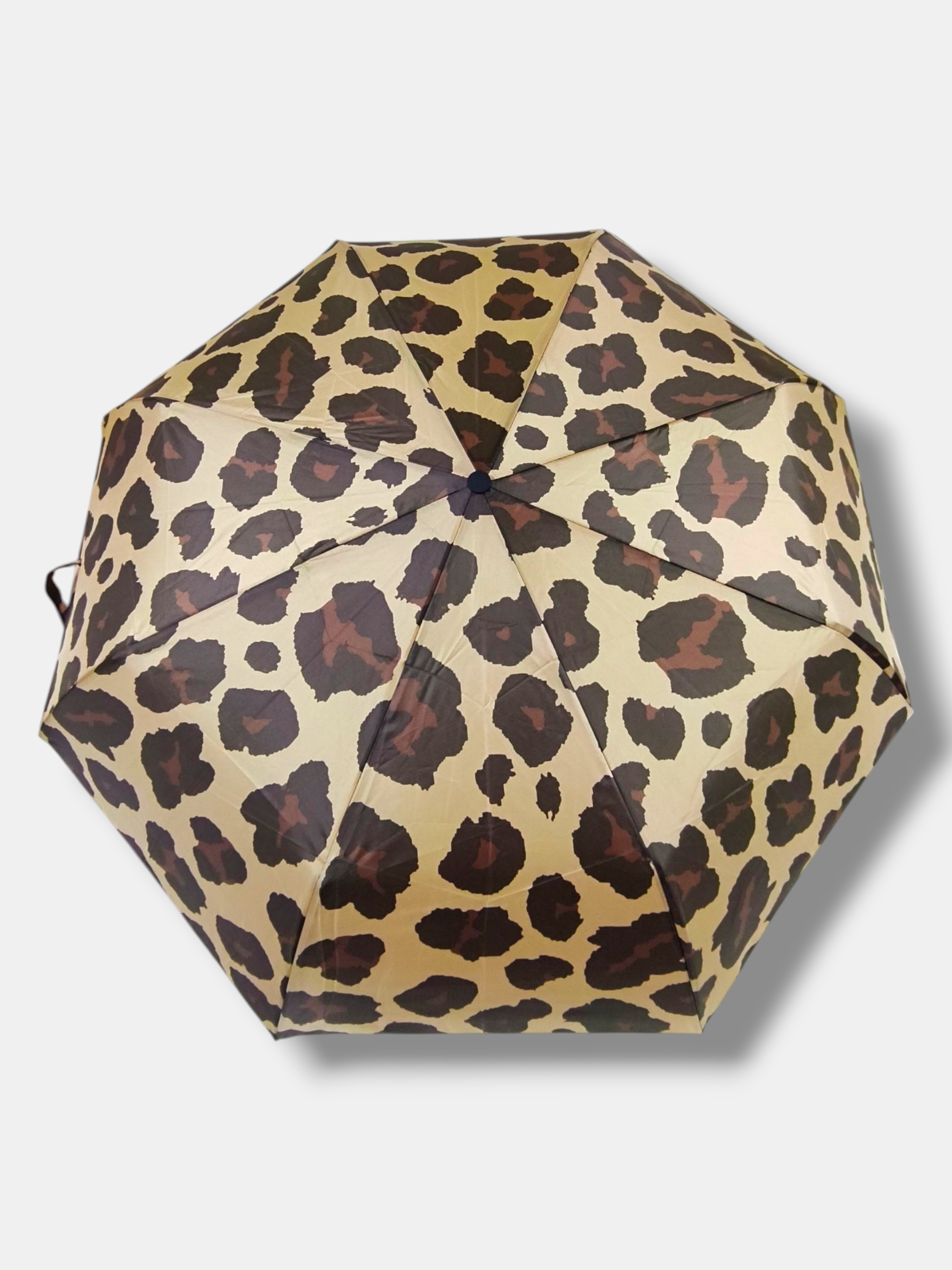 PARAGUA ESTAMPADO - Imagen 1